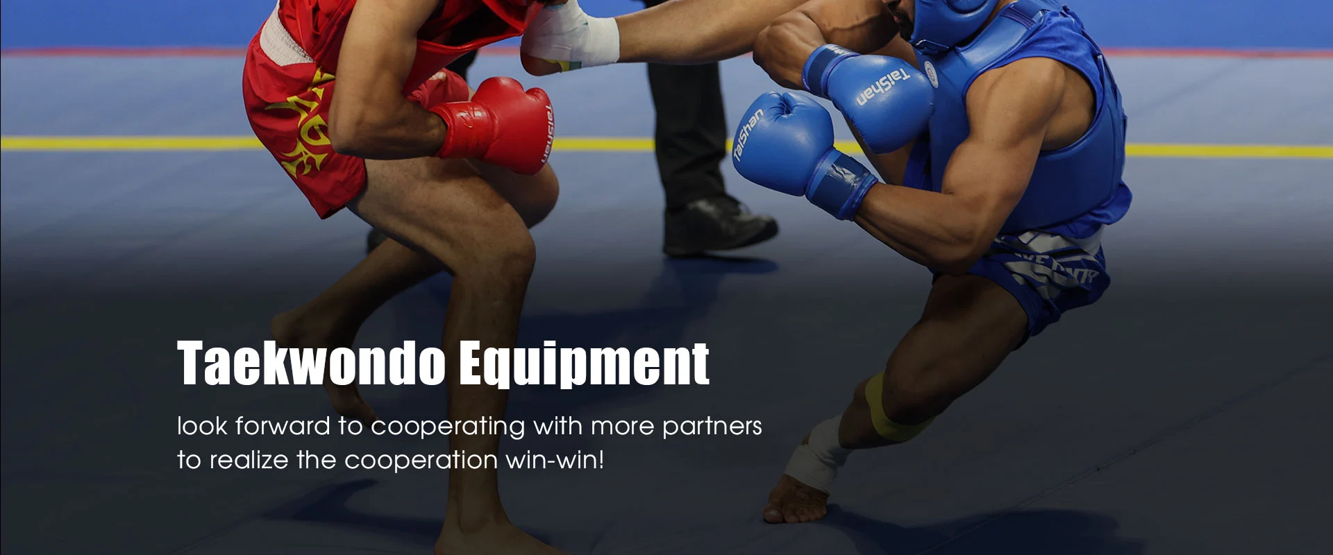 Nhà sản xuất thiết bị Taekwondo Trung Quốc