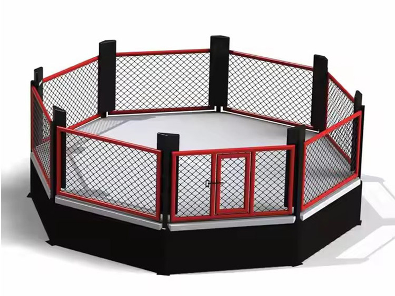 Thực tế bên trong một võ đài MMA có gì?
