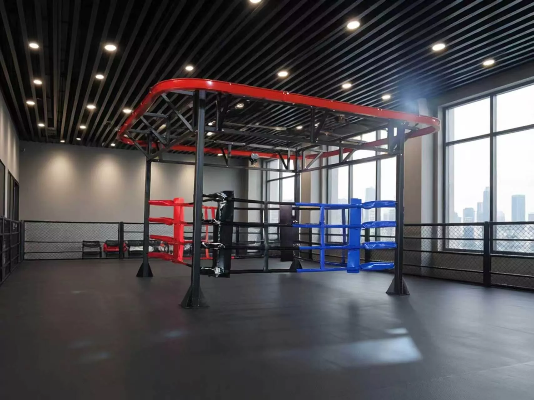 Bạn có muốn kết hợp tập luyện trên võ đài, tập bao nặng và rèn luyện thể lực chức năng trên một thiết bị duy nhất không?